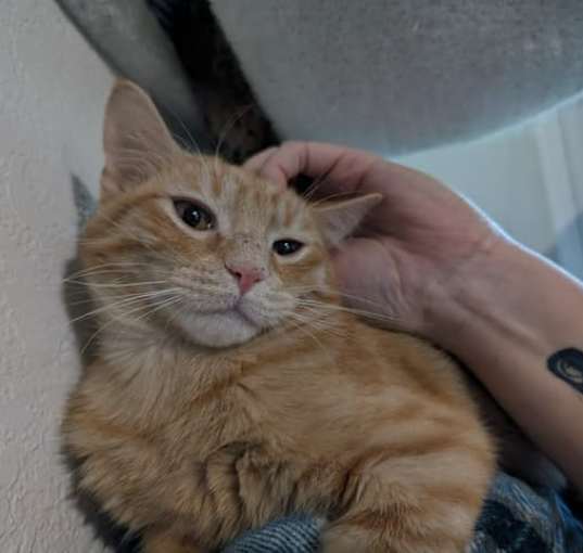 Photo of Pumpkin and Spice