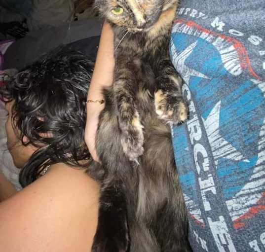 Photo of Gumbo