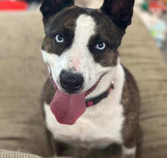 Photo of Macey