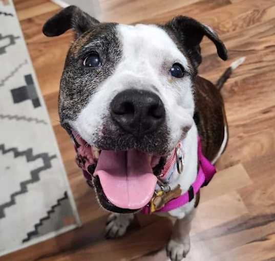 Photo of Betsy Lou