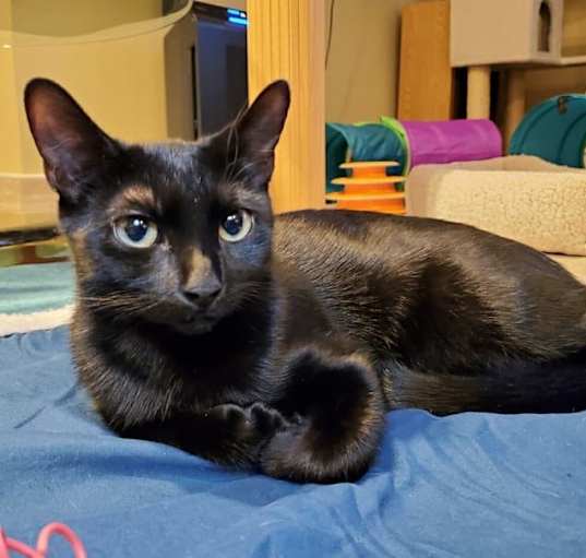 Photo of Spicy