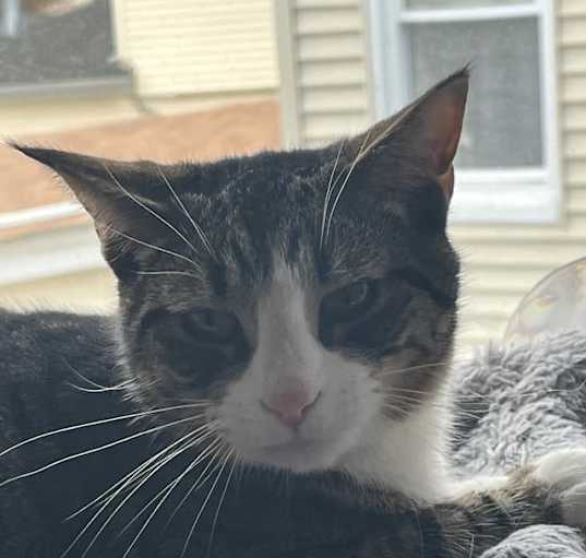 Photo of Mischief 2