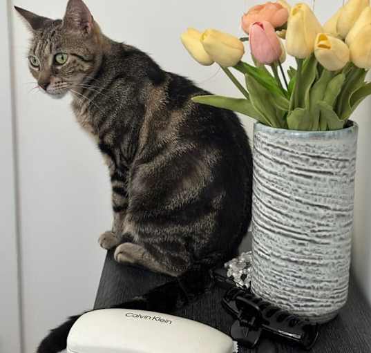 Photo of Esme
