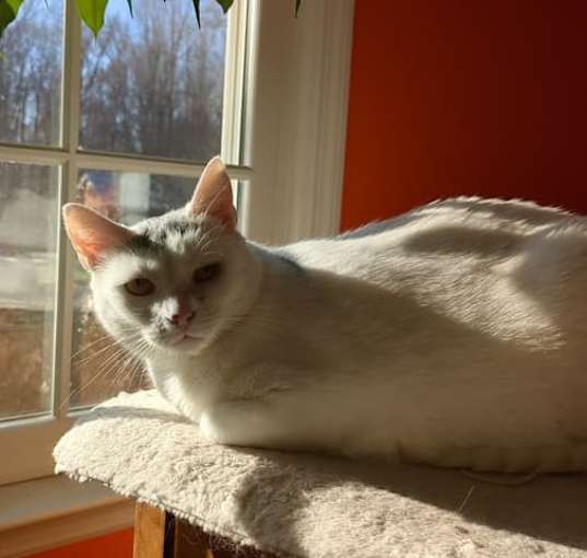 Photo of Lucky