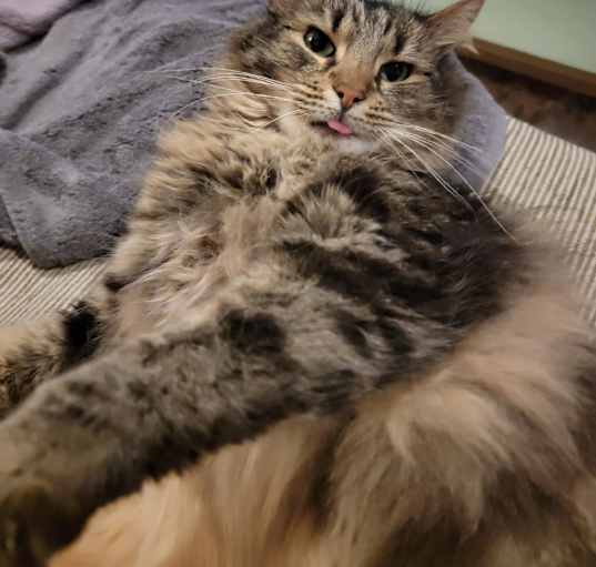 Photo of Max
