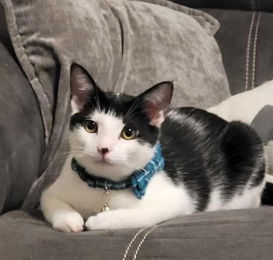 Photo of Willie