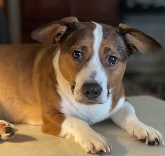 Photo of Molly