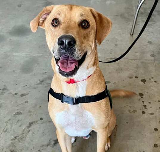 Photo of Max