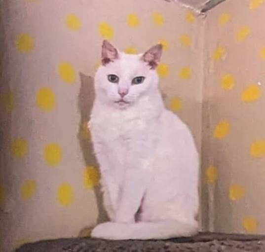 Photo of Pinky