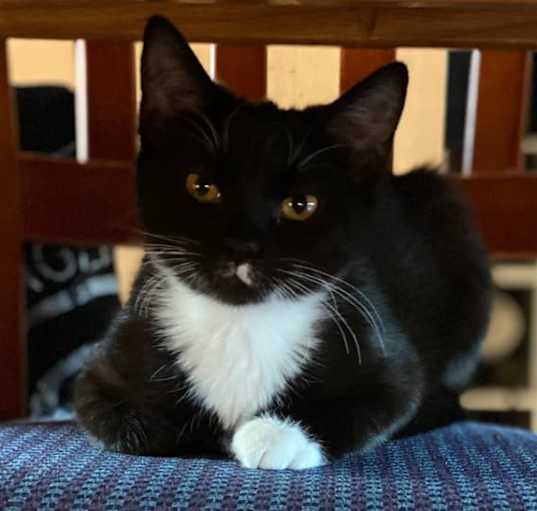 Photo of Emmy Lou
