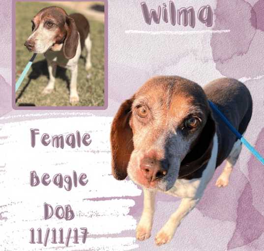 Photo of Wilma