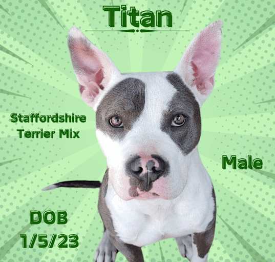 Photo of Titan