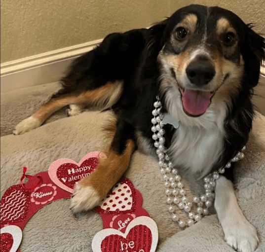 Photo of Roxy Rose