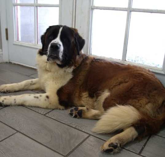 Photo of Diamond