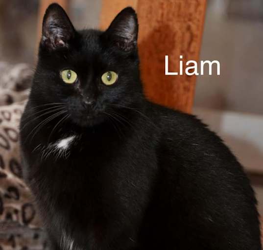 Photo of Liam