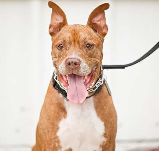Photo of Ralph