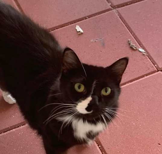Photo of JoJo