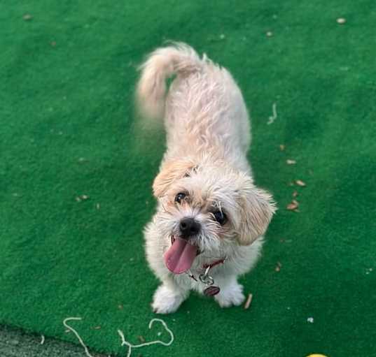 Photo of Thelma