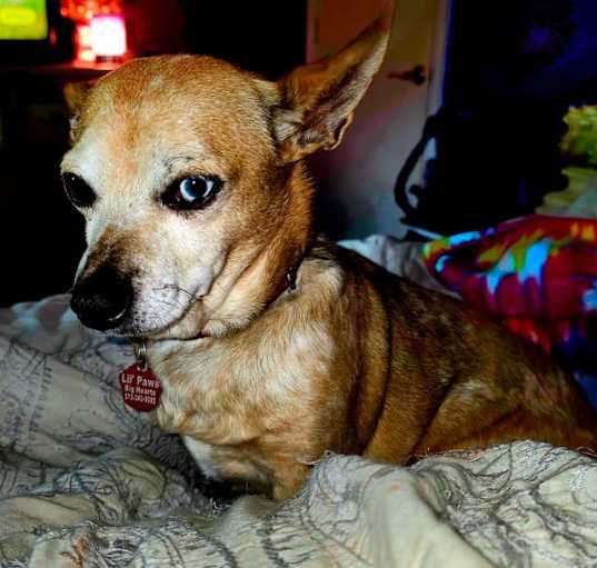 Photo of Tyrion