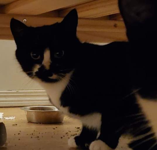 Photo of Theo
