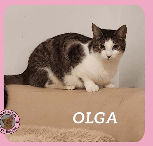 Photo of Olga