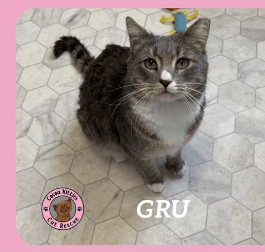Photo of Gru