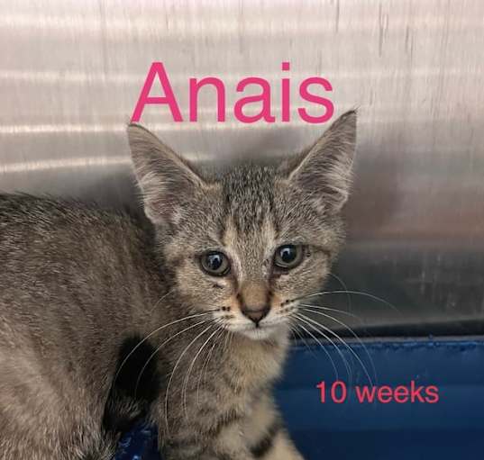 Photo of Anais