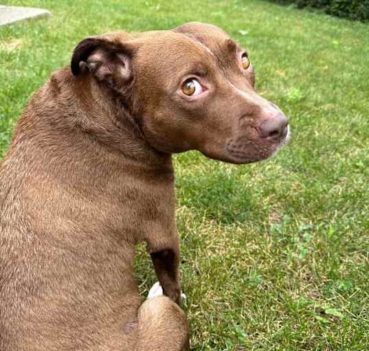 Photo of Coco