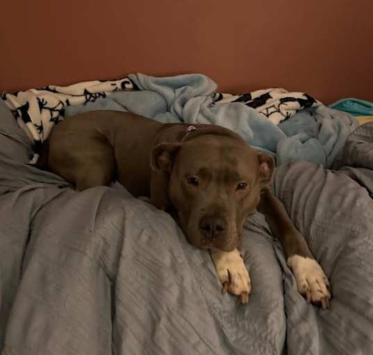 Photo of Wanda