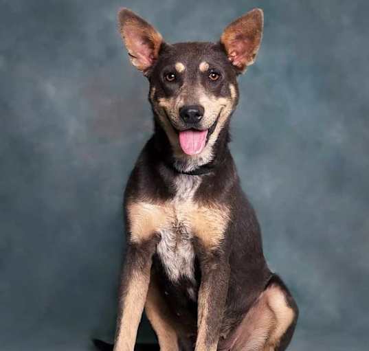 Photo of Kya