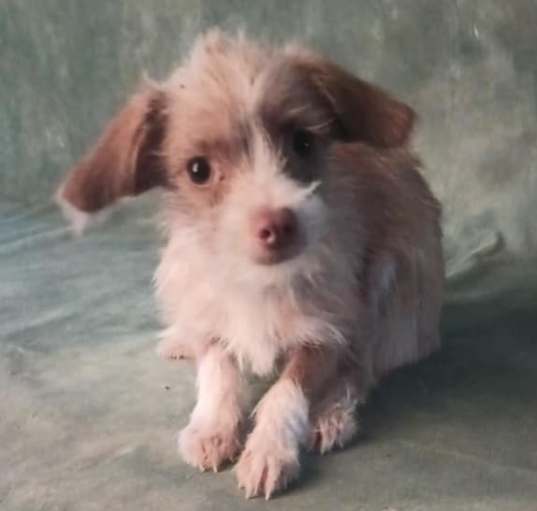Photo of Lil Baby