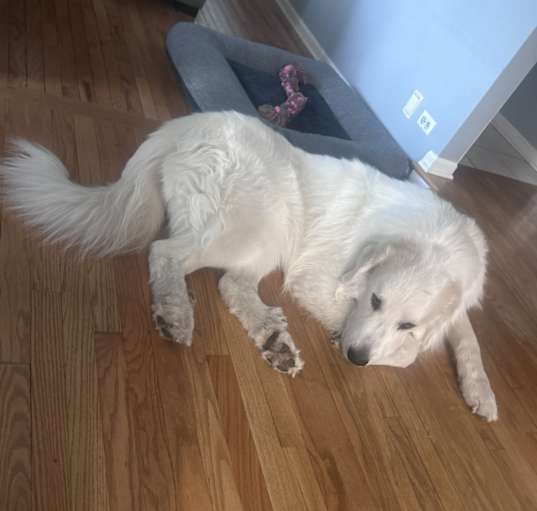 Photo of Zeus
