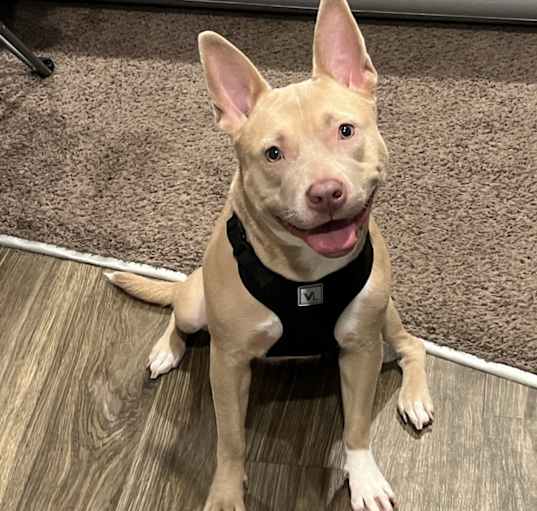 Photo of Storm
