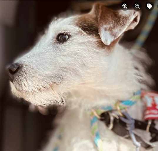 Photo of Charlie