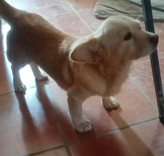 Photo of Tucker