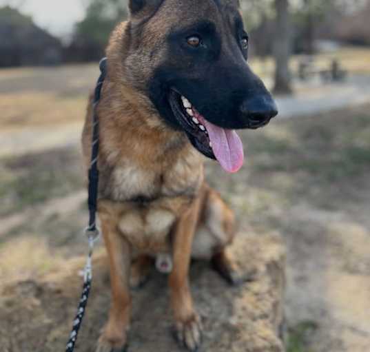 Photo of Patton