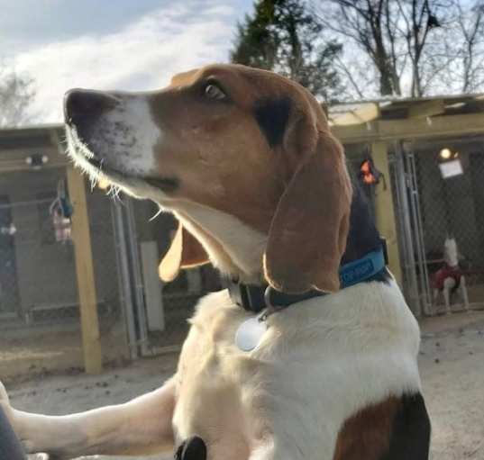 Photo of Murphy