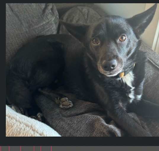 Photo of Floki (fka Simun)