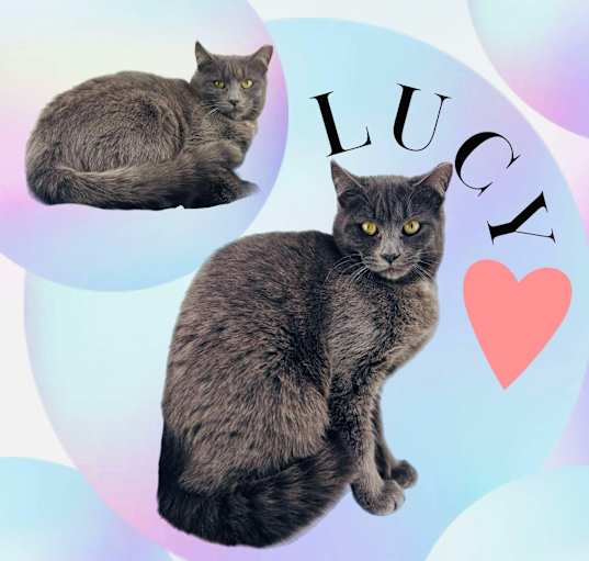 Photo of Lucy
