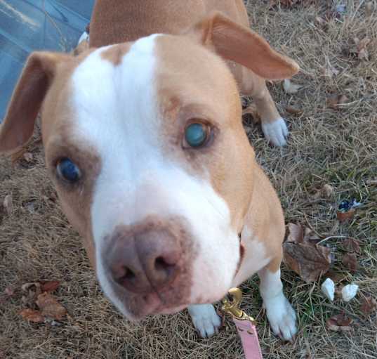 Photo of Wilma (NJ) Very Sweet!