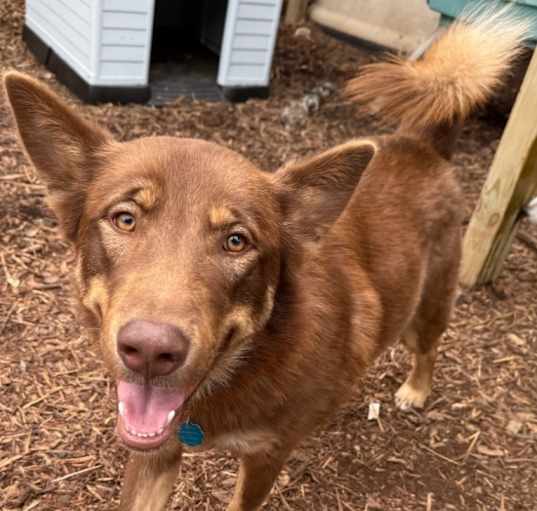 Photo of Tucker