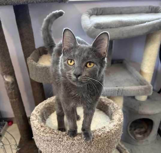 Photo of Jingle