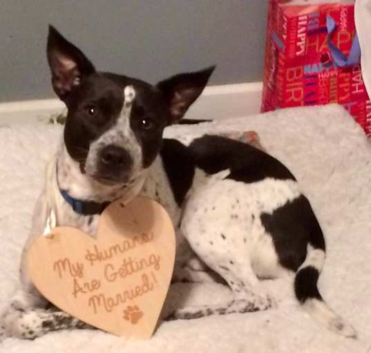 Photo of Remi