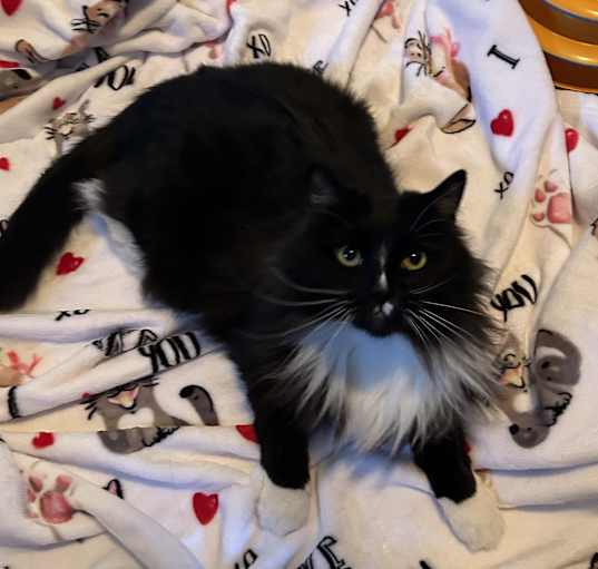 Photo of Minnie