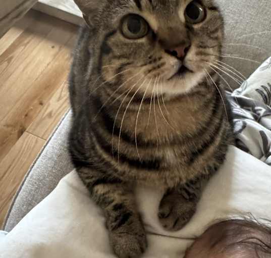 Photo of Mocha