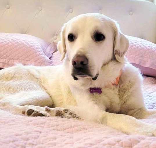 Photo of Sunny