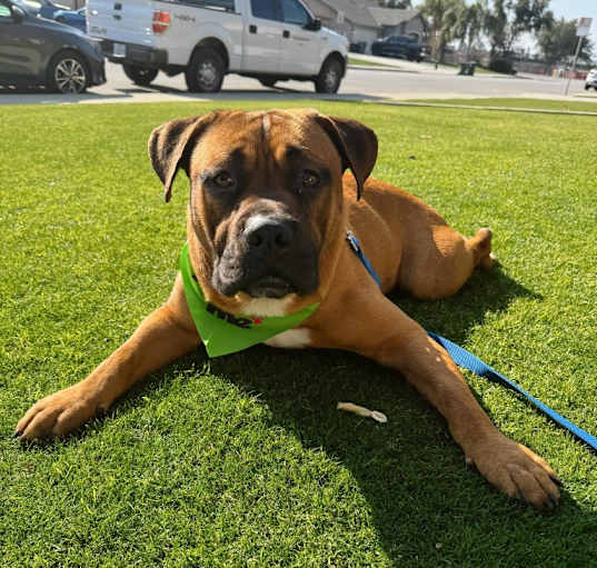Photo of Tank