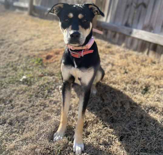 Photo of Missy