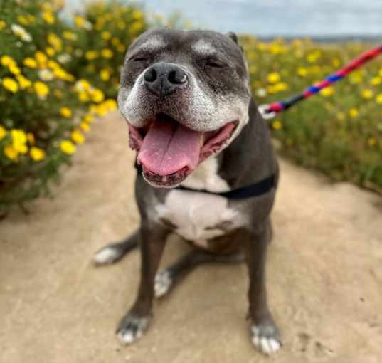 Photo of Roxi