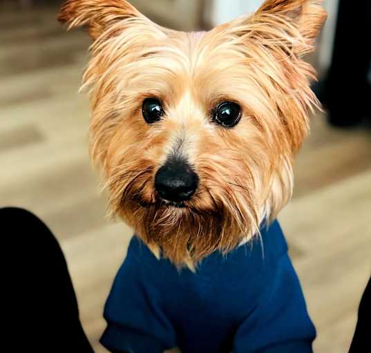 Photo of Rocky is very sweet!